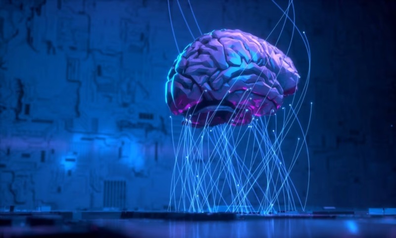 凤冈县信创改造：你的开发团队为何必须具备多样性？
